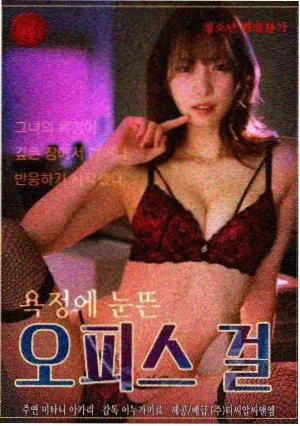 韩剧《双面律师》竖版封面